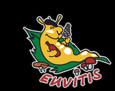 Euvitis